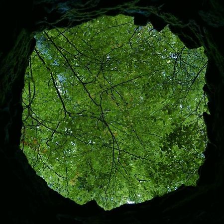 Espaco Origem Sintra Esterno foto