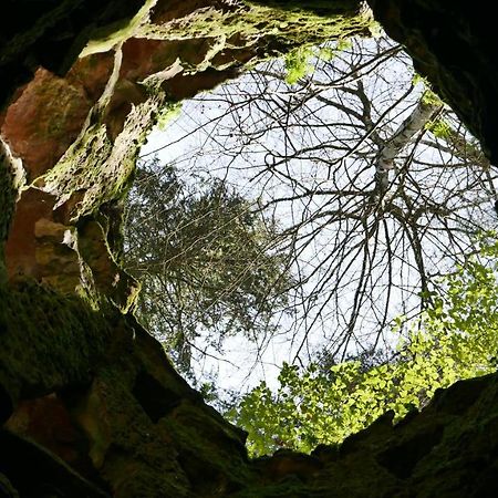 Espaco Origem Sintra Esterno foto