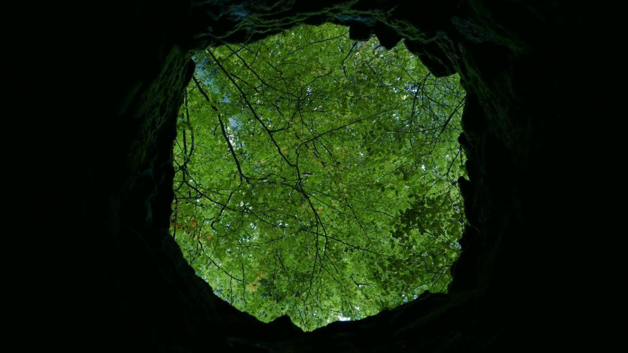 Espaco Origem Sintra Esterno foto